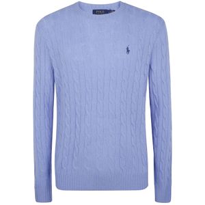 Polo Ralph Lauren, Heren, Truien, Blauw, Maat: L