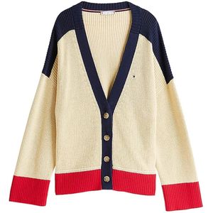 Tommy Hilfiger, Dames, Truien, Veelkleurig, Maat: S/M