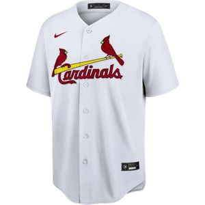 Nike, Heren, Overhemden, Wit, Maat: S