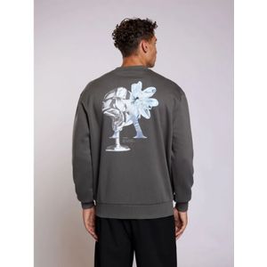 Aeden, Heren, Sweatshirts & Hoodies, Grijs, Maat: 2XL Katoen,