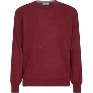 Brunello Cucinelli, Heren, Truien, Paars, Maat: M Kasjmier,