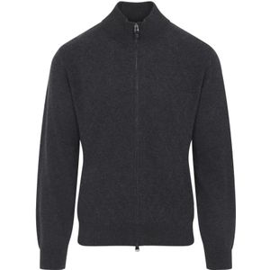 Canali, Heren, Truien, Grijs, Maat: M Wol,