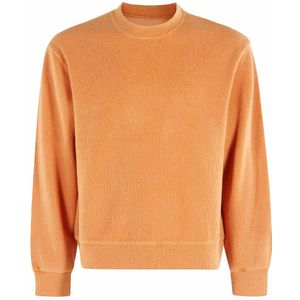 Circolo 1901, Heren, Truien, Oranje, Maat: L