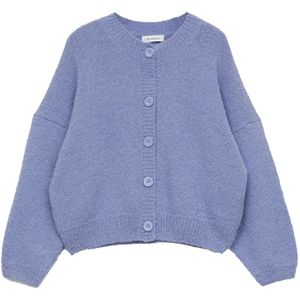 Rodebjer, Dames, Truien, Paars, Maat: S Wol,