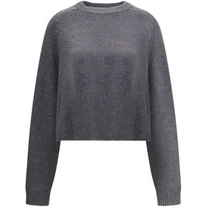 Lisa Yang, Dames, Truien, Grijs, Maat: S