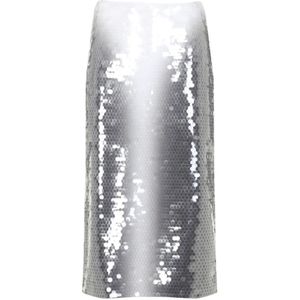 Sportmax, Dames, Rokken, Grijs, Maat: L Polyamide,