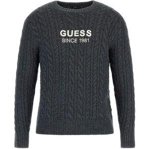 Guess, Heren, Truien, Grijs, Maat: L Jersey,