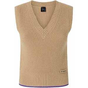 Pinko, Dames, Truien, Bruin, Maat: M Wol,