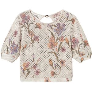 Twinset, Dames, Truien, Veelkleurig, Maat: XS Katoen,