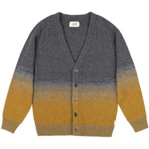 Bob, Heren, Truien, Veelkleurig, Maat: S Wol,