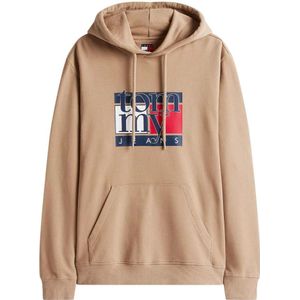 Tommy Jeans Sweatshirt  navy / lichtbruin / rood / wit