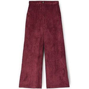 Motivi, Dames, Broeken, Rood, Maat: 2XS Corduroy,