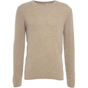 Daniele Fiesoli, Heren, Truien, Beige, Maat: XL Kasjmier,