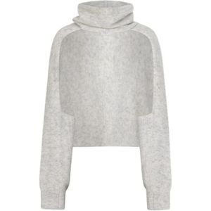 Dante 6, Dames, Truien, Grijs, Maat: S Wol,