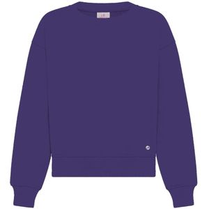 Deha, Dames, Sweatshirts & Hoodies, Paars, Maat: M