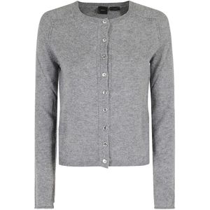 Pinko, Dames, Truien, Grijs, Maat: S Zijde,