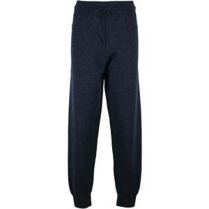 Fabiana Filippi, Dames, Broeken, Blauw, Maat: M Wol,