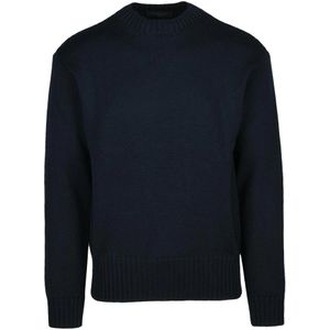 Daniele Fiesoli, Heren, Truien, Blauw, Maat: L Wol,