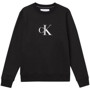 Calvin Klein, Heren, Sweatshirts & Hoodies, Zwart, Maat: XL Katoen,