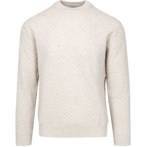 Paolo Pecora, Heren, Truien, Grijs, Maat: L Wol,