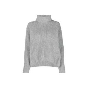 Pinko Grijze Coltrui voor Dames Aw23 , Gray , Dames , Maat: M