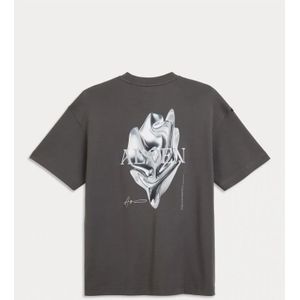 Aeden, Heren, Tops, Grijs, Maat: L