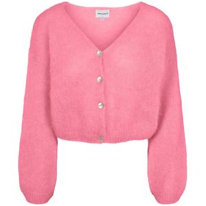 Americandreams, Dames, Truien, Roze, Maat: S Mohair,
