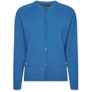 Elena Mirò, Dames, Truien, Blauw, Maat: XS Viscose,