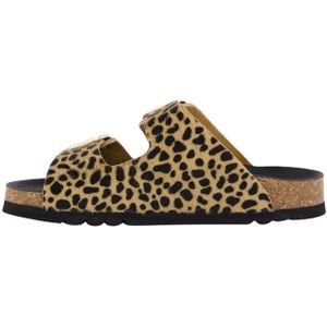 Scholl, Dames, Schoenen, Beige, Maat: 38 EU