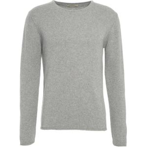 Daniele Fiesoli, Heren, Truien, Grijs, Maat: XL Kasjmier,