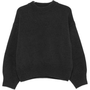 Alysi, Dames, Truien, Grijs, Maat: XS Zijde,