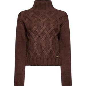 Silvian Heach, Dames, Truien, Bruin, Maat: M Wol,