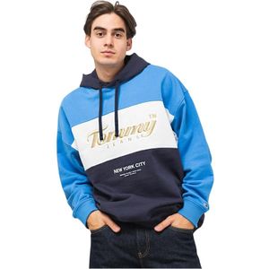 Tommy Hilfiger, Heren, Sweatshirts & Hoodies, Veelkleurig, Maat: S Katoen,
