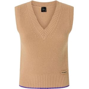 Pinko, Dames, Truien, Bruin, Maat: S