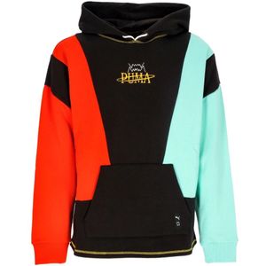 Puma, Heren, Sweatshirts & Hoodies, Veelkleurig, Maat: L Katoen,