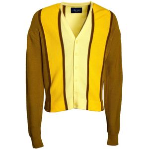 Awake NY, Heren, Truien, Veelkleurig, Maat: XL