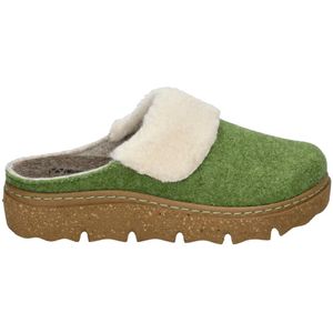 Westland, Dames, Schoenen, Groen, Maat: 41 EU