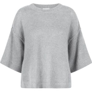 Dante 6, Dames, Truien, Grijs, Maat: XS Wol,