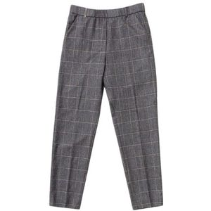 Peserico, Dames, Broeken, Grijs, Maat: S Wol,