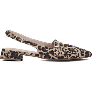 Stefano Lauran, Dames, Schoenen, Bruin, Maat: 41 EU