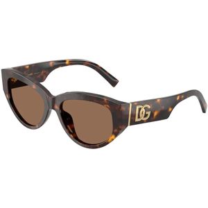 Dolce & Gabbana, Dames, Accessoires, Bruin, Maat: 55 MM Polyamide,
