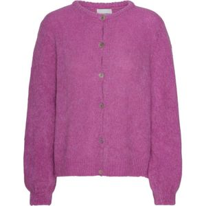 American Dreams, Dames, Truien, Paars, Maat: L Wol,