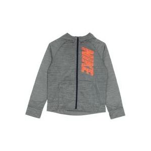 Nike Therma GFX Hoodie met rits , Gray , Heren , Maat: S