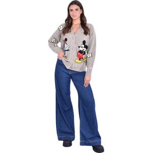 MC2 Saint Barth, Dames, Truien, Grijs, Maat: XS Wol,