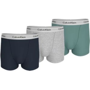 Calvin Klein, Heren, Ondergoed, Veelkleurig, Maat: 3XL Katoen,