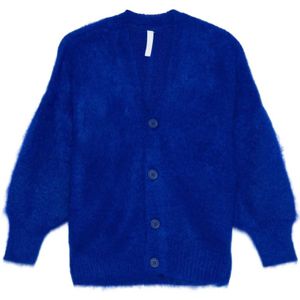 Cfcl, Dames, Truien, Blauw, Maat: S Wol,