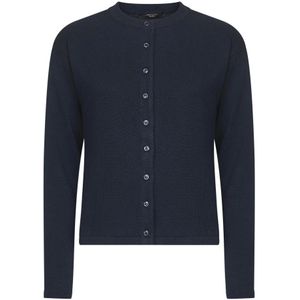 Weekend Max Mara, Dames, Truien, Blauw, Maat: XL Katoen,