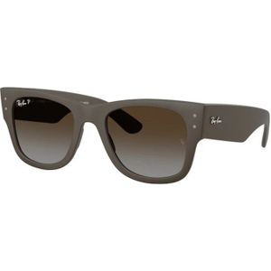 Ray-Ban - RB4840S - Zonnebril - Bruin - Gepolariseerd