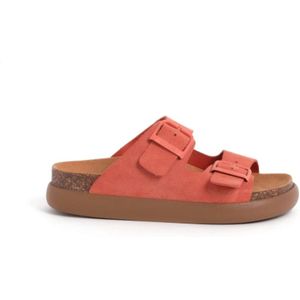 Scholl, Dames, Schoenen, Oranje, Maat: 35 EU Suède,