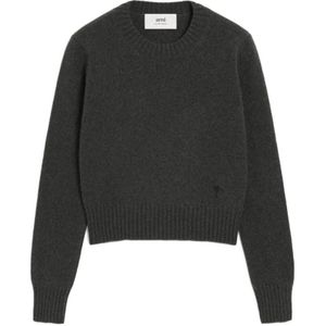 Ami Paris, Dames, Truien, Grijs, Maat: L